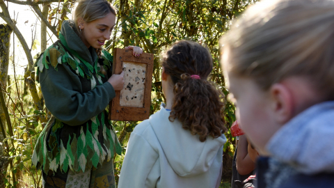 Trick or Treat Trail